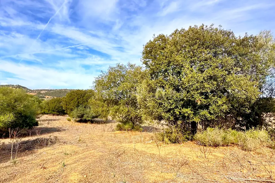 Agricolo in vendita di 375.217 mq a €480.000 (rif. 55/2024)