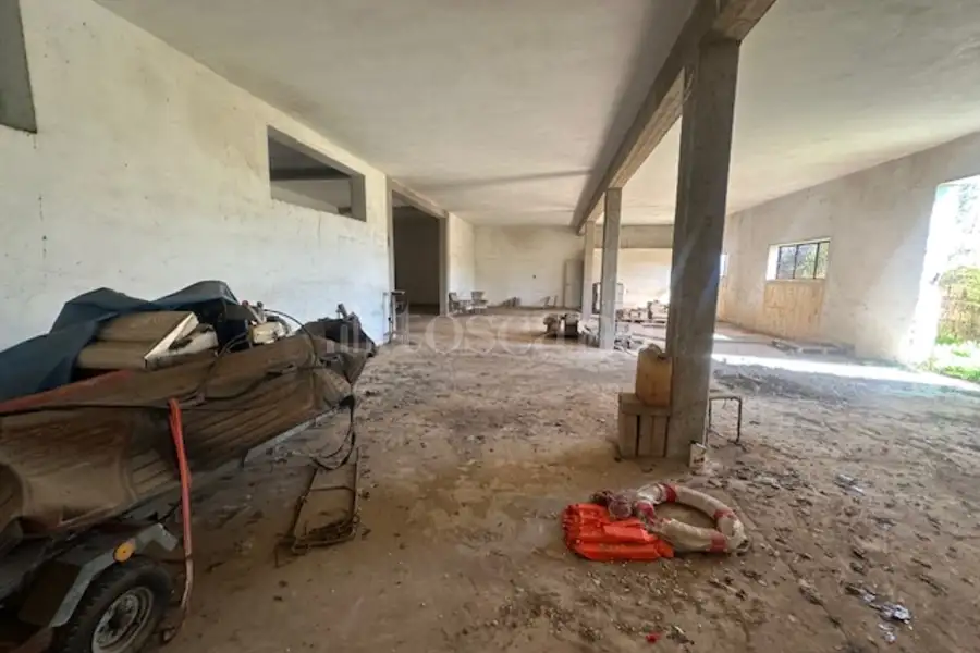 Agricolo in vendita di 10.000 mq a €175.000 (rif. 19/2025)