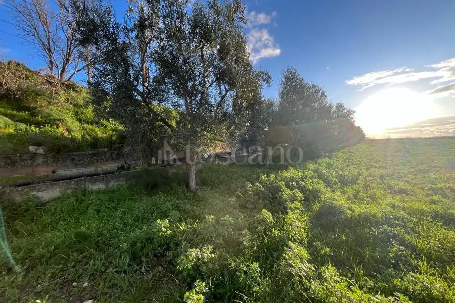 Agricolo in vendita di 10.000 mq a €35.000 (rif. 7/2026)