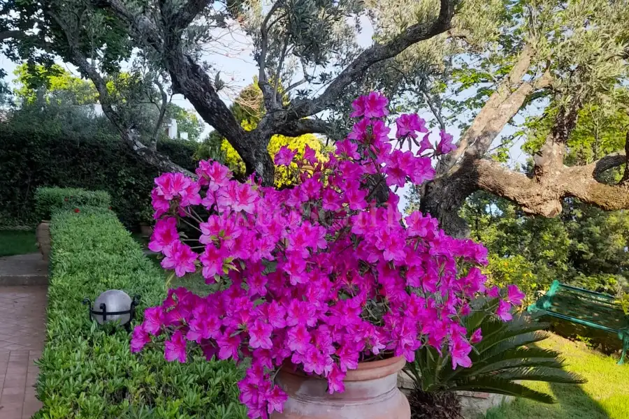 Villa in vendita di 130 mq a €255.000 (rif. 8/2025)