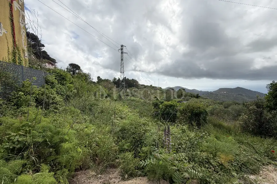 Agricolo in vendita di 16.504 mq a €88.000 (rif. 20/2026)