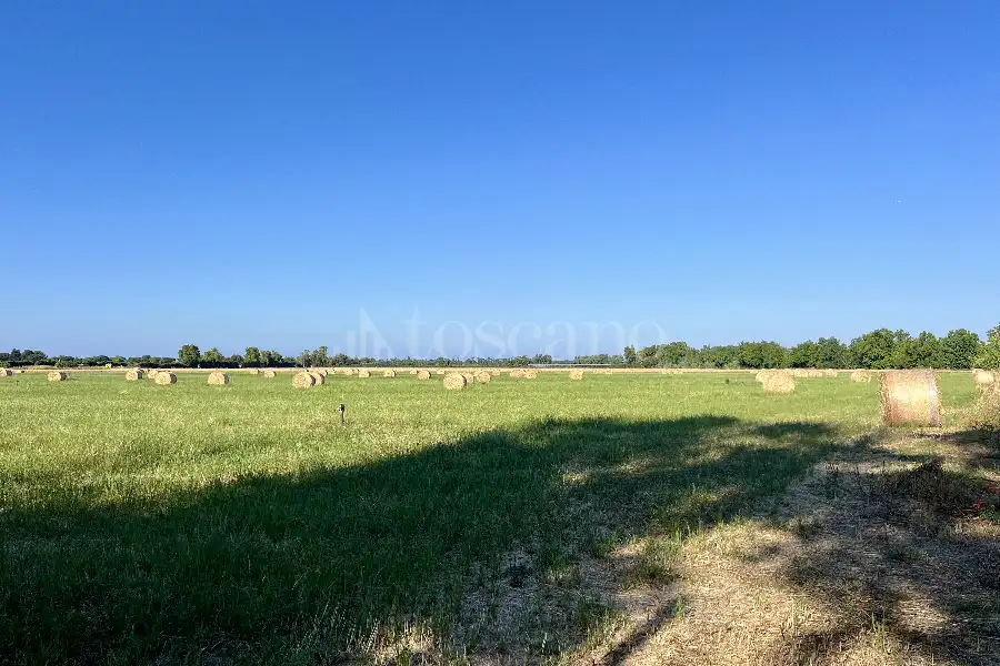 Agricolo in vendita di 75.000 mq a €250.000 (rif. 50/2026)