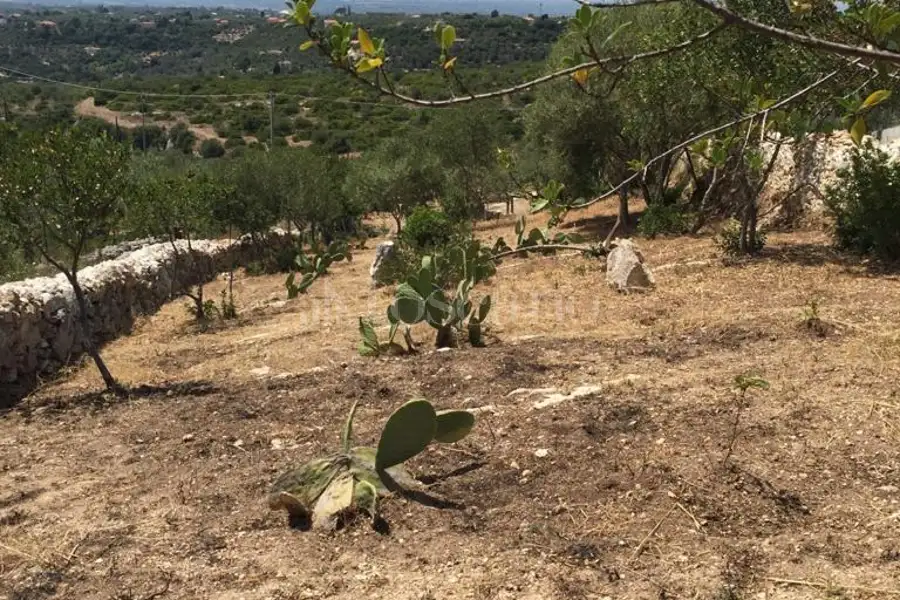 Agricolo in vendita di 2.046 mq a €25.000 (rif. 165/2026)