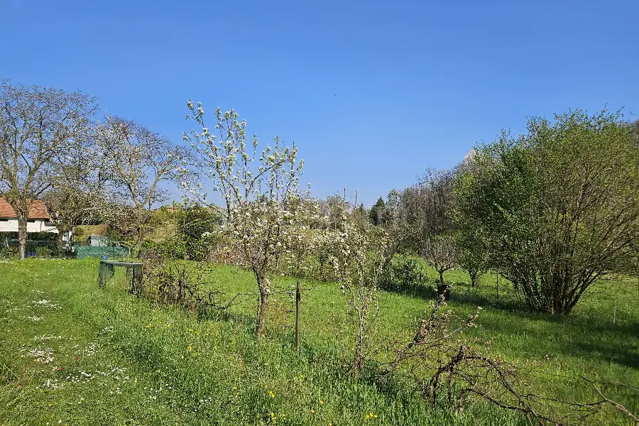 Edificabile Residenziali in vendita di 1.430 mq a €179.000 (rif. 14/2025)