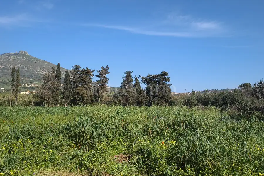 Agricolo in vendita di 14.880 mq a €108.000 (rif. 27/2026)