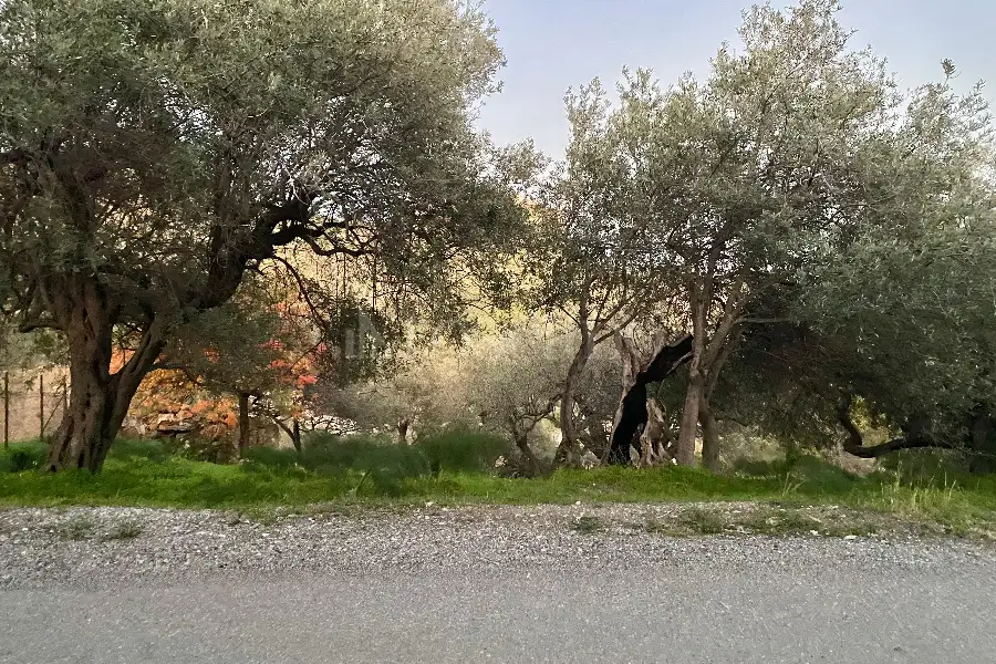 Casale in vendita di 60 mq a €68.000 (rif. 88/2024)