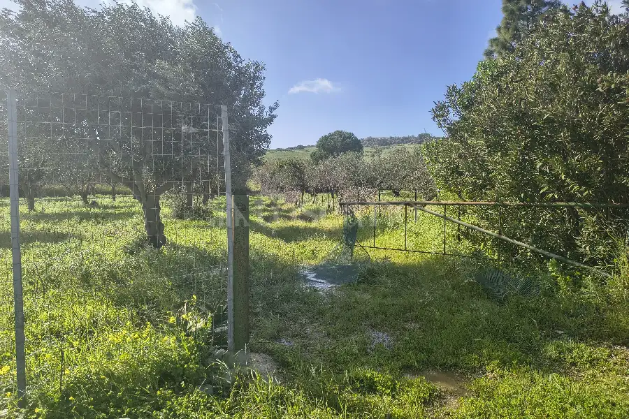 Agricolo in vendita di 55.538 mq a €128.000 (rif. 15/2026)