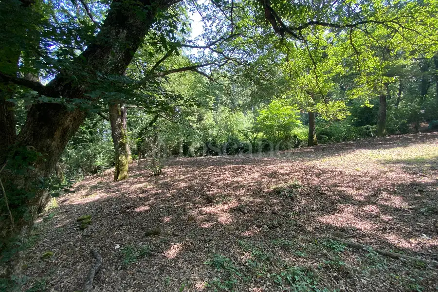 Agricolo in vendita di 5.000 mq a €19.000 (rif. 36/2025)
