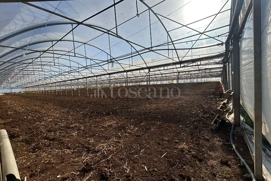 Agricolo in affitto di 50.000 mq a €80.000 (rif. 4/2026)
