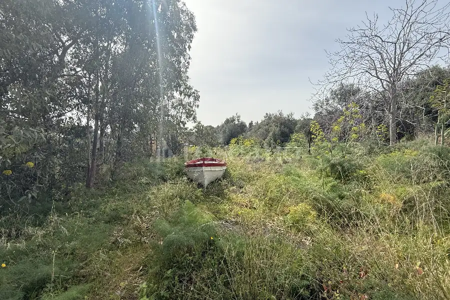 Agricolo in vendita di 4.440 mq a €220.000 (rif. 1/2026)
