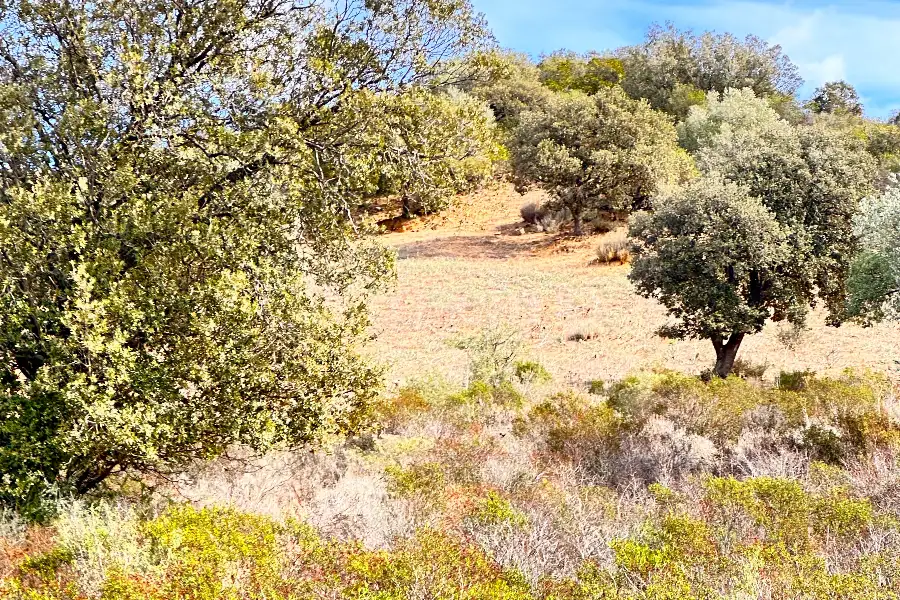 Agricolo in vendita di 375.217 mq a €480.000 (rif. 55/2024)