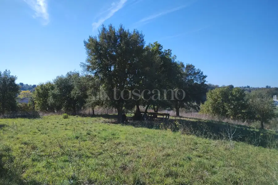 Agricolo in vendita di 1.200 mq a €45.000 (rif. 62/2025)