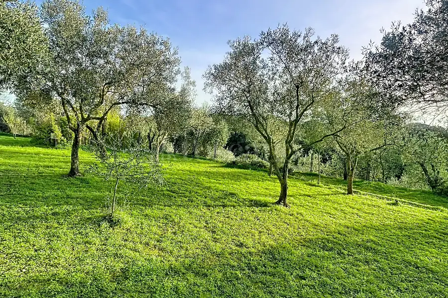 Casa Indipendente in vendita di 59 mq a €133.000 (rif. 216/2025)