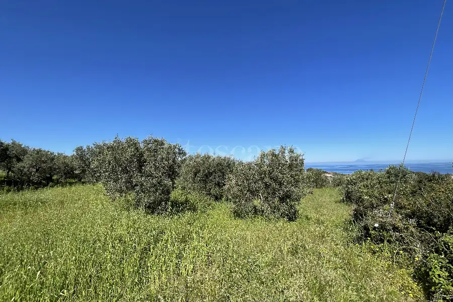 Rustico in vendita di 178 mq a €70.000 (rif. 14/2026)