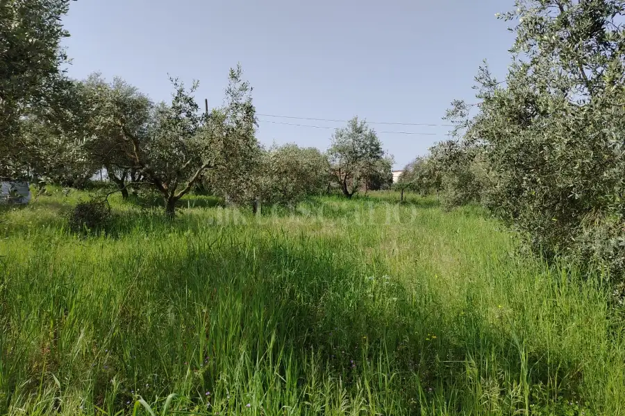 Agricolo in vendita di 5.520 mq a €65.000 (rif. 12/2025)