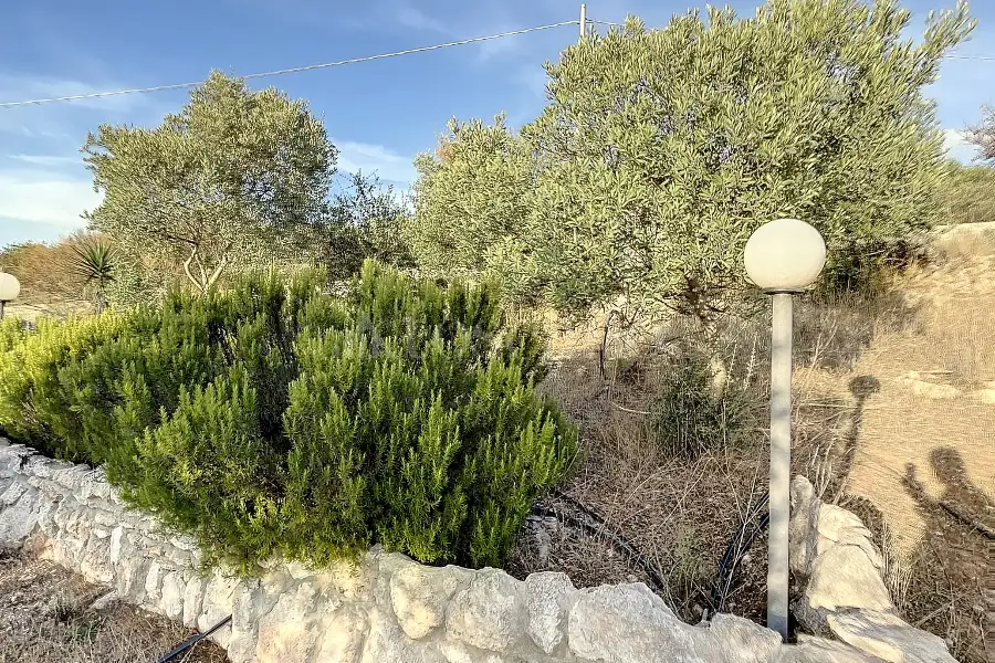 Agricolo in vendita di 2.046 mq a €25.000 (rif. 165/2026)