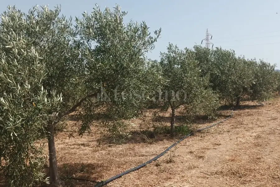 Casa in vendita di 100 mq a €500.000 (rif. 7/2026)