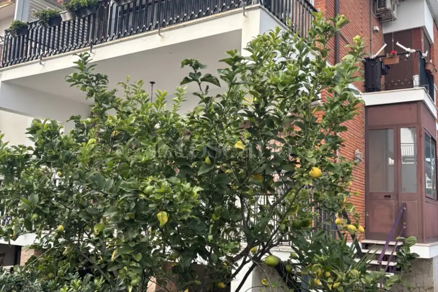 Casa in vendita di 120 mq a €495.000 (rif. 1/2026)