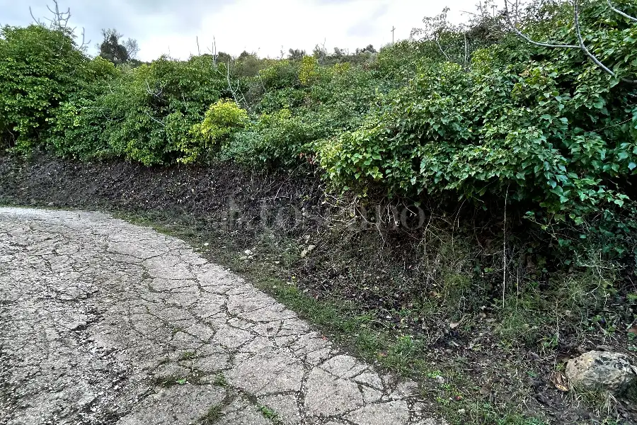 Agricolo in vendita di 4.300 mq a €10.000 (rif. 213/2025)