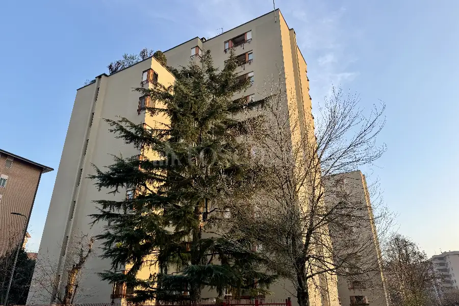 Casa in affitto di 52 mq a €800 (rif. 1/2026)