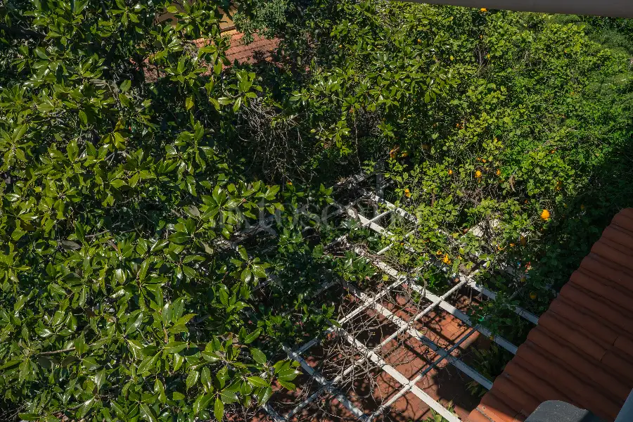 Villa in vendita di 250 mq a €298.000 (rif. 60/2025)