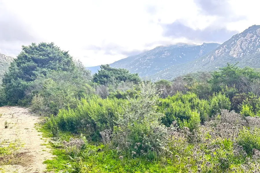 Agricolo in vendita di 247.451 mq a €250.000 (rif. 58/2024)