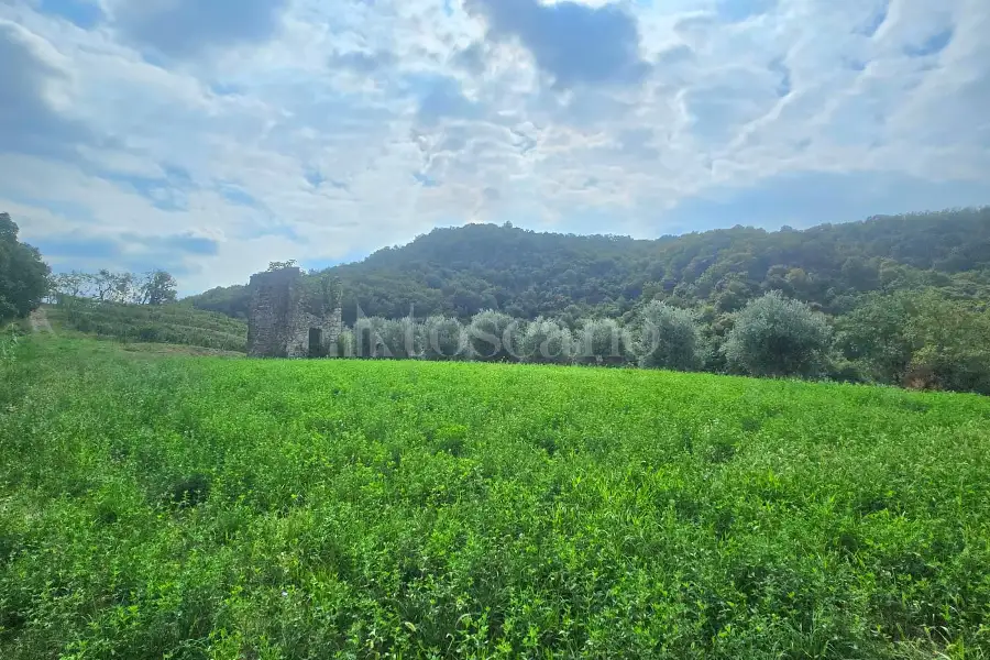 Agricolo in vendita di 15.000 mq a €210.000 (rif. 75/2026)