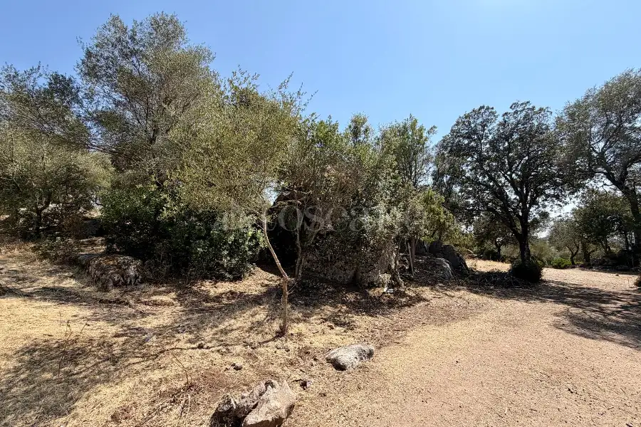 Edificabile Residenziali in vendita di 20.000 mq a €195.000 (rif. 53/2026)