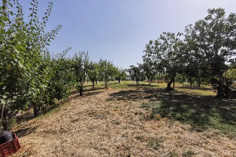 Casa in vendita di 280 mq a €380.000 (rif. 24/2021)