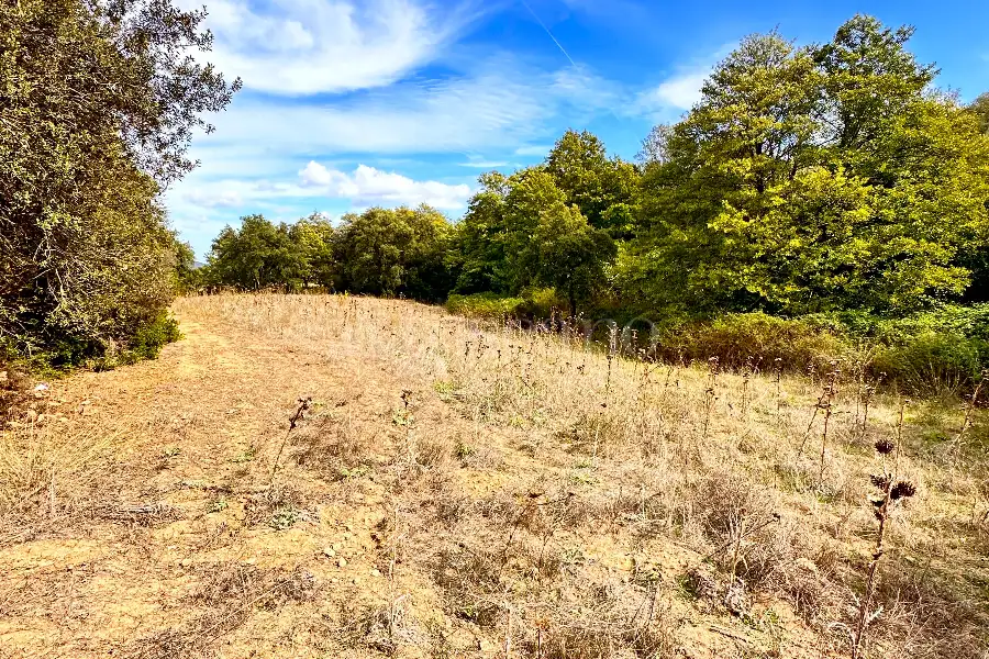 Agricolo in vendita di 194.010 mq a €250.000 (rif. 56/2024)