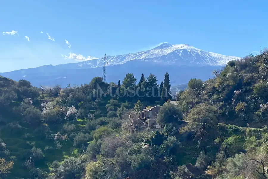 Agricolo in vendita di 640 mq a €40.000 (rif. 15/2024)