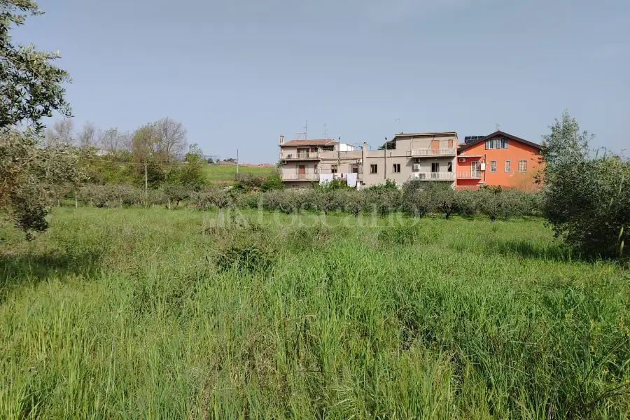 Agricolo in vendita di 5.520 mq a €65.000 (rif. 12/2025)