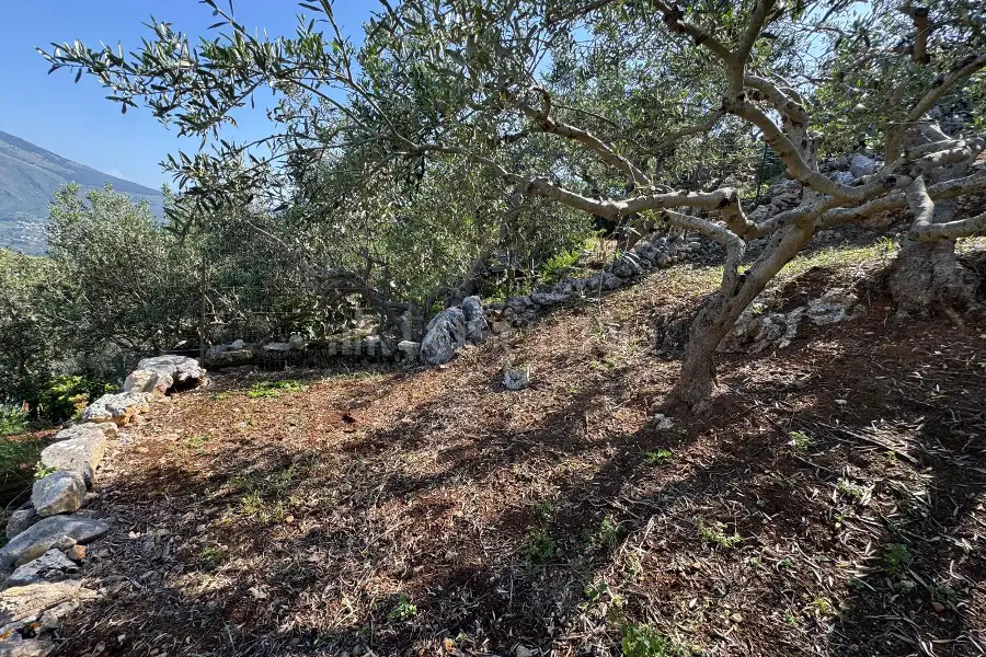 Villa in vendita di 69 mq a €235.000 (rif. 33/2026)