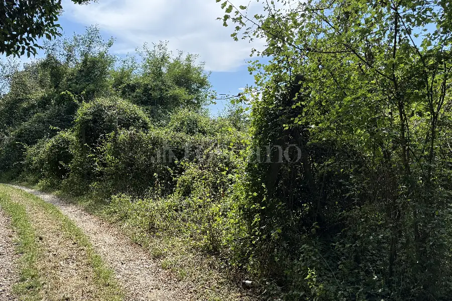 Agricolo in vendita di 3.000 mq a €65.000 (rif. 18/2026)