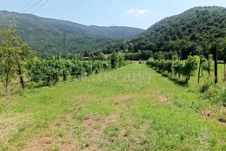 Agricolo in vendita di 2.900 mq a €33.000 (rif. 19/2025)