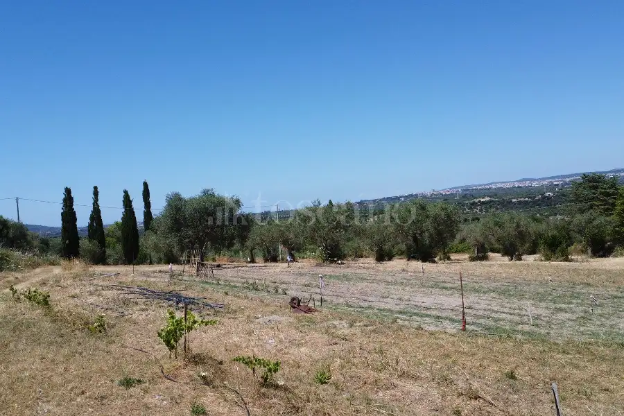 Edificabile Industriale in vendita di 9.000 mq a €50.000 (rif. 142/2026)