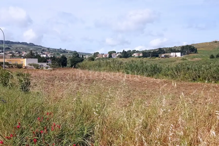 Edificabile Residenziali in vendita di 4.623 mq a €42.000 (rif. 30/2025)
