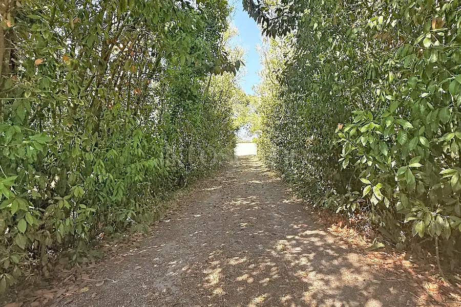 Casa Indipendente in vendita di 60 mq a €128.000 (rif. 175/2026)