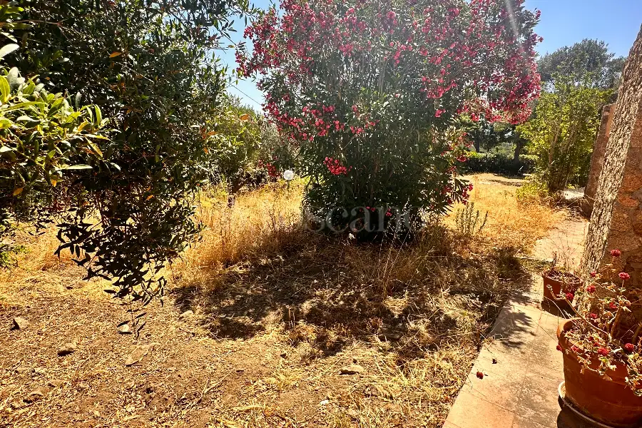 Villa in vendita di 278 mq a €1.400.000 (rif. 41/2025)