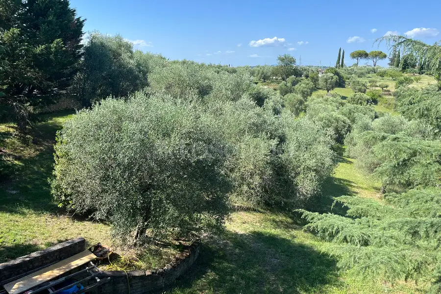 Villa in vendita di 300 mq a €339.000 (rif. 33/2026)