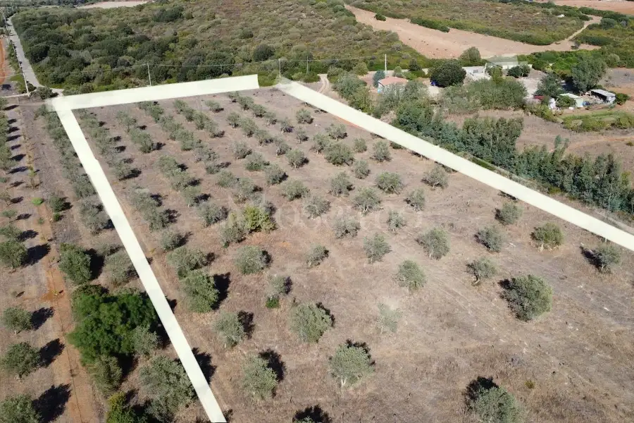 Agricolo in vendita di 10.000 mq a €45.000 (rif. 208/2026)