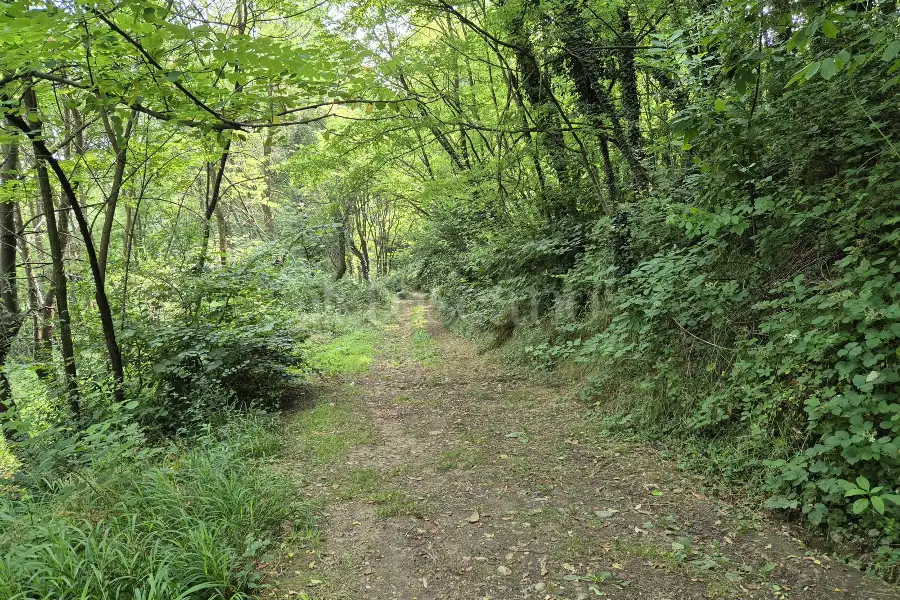 Rustico in vendita di 160 mq a €145.000 (rif. 24/2025)