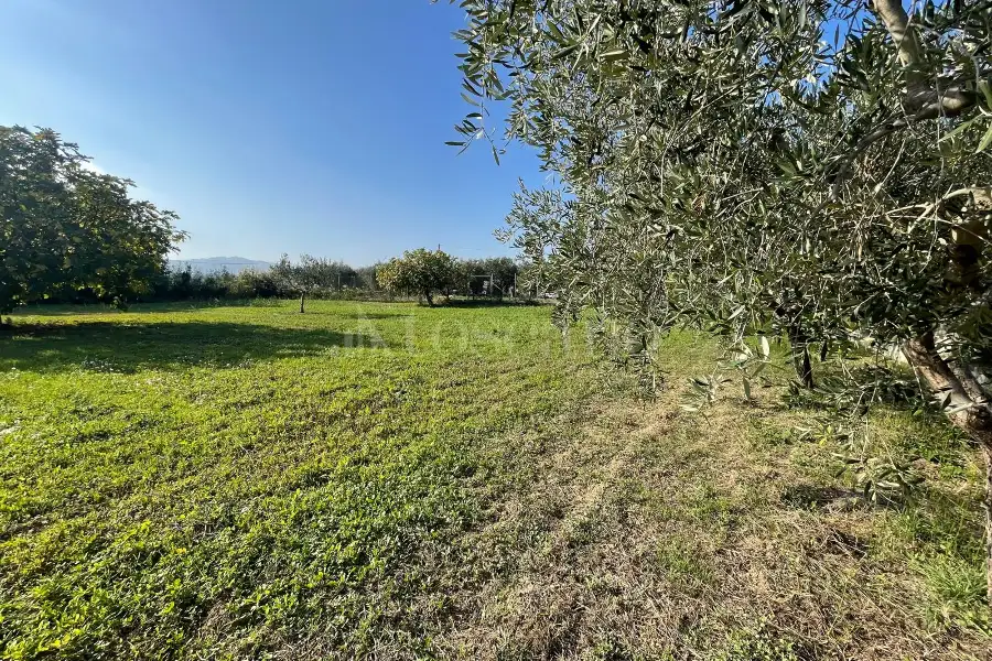 Agricolo in vendita di 1.288 mq a €37.000 (rif. 59/2025)