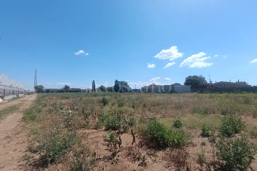 Edificabile Residenziali in vendita di 9.000 mq a €195.000 (rif. 32/2026)