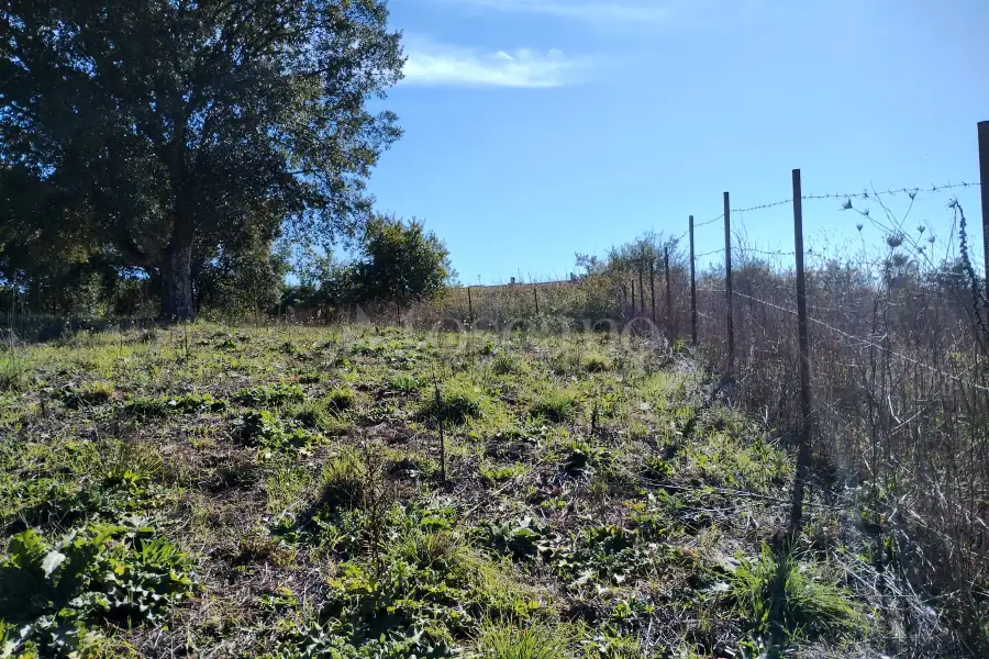 Agricolo in vendita di 1.200 mq a €45.000 (rif. 62/2025)