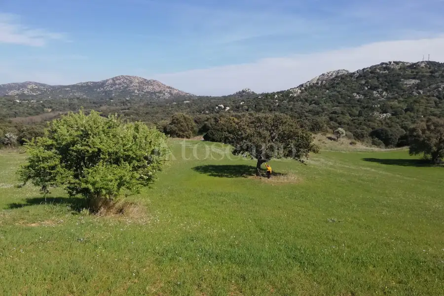 Agricolo in vendita di 194.010 mq a €250.000 (rif. 56/2024)