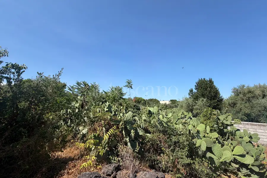 Edificabile Residenziali in vendita di 6.000 mq a €659.000 (rif. 117/2026)