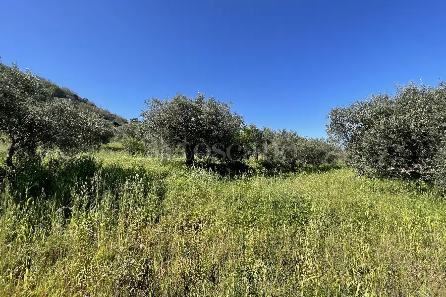 Rustico in vendita di 178 mq a €70.000 (rif. 14/2026)