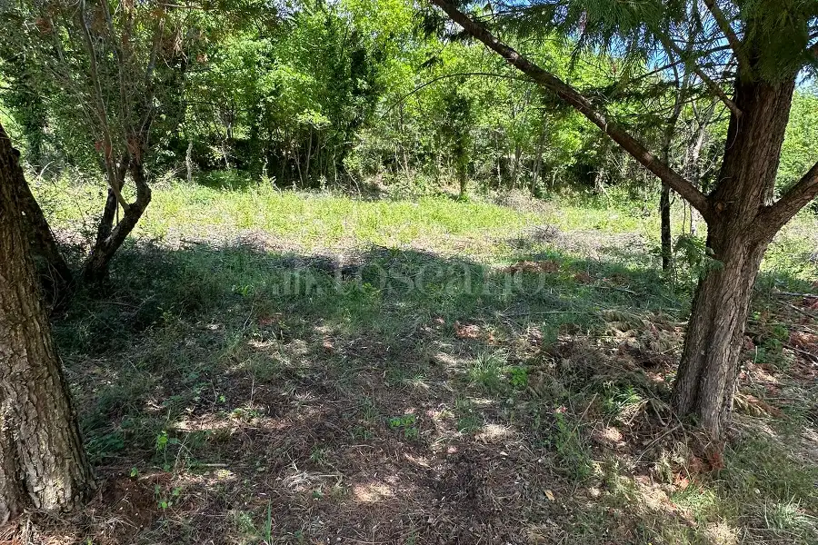 Edificabile Residenziali in vendita di 1.460 mq a €35.000 (rif. 10/2026)