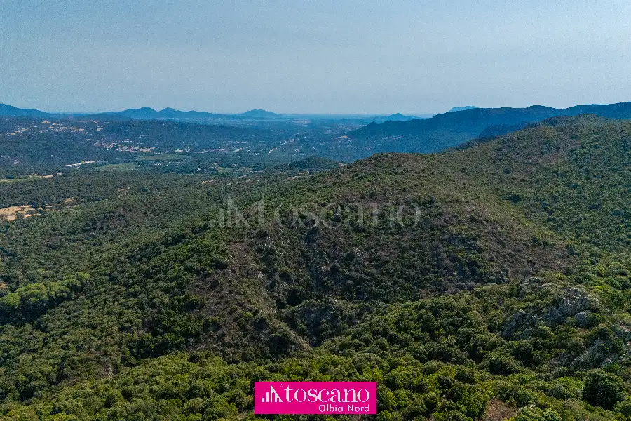 Agricolo in vendita di 176.937 mq a €170.000 (rif. 49/2026)